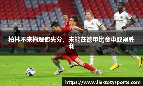 中欧体育