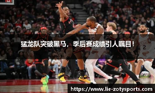 中欧体育zoty网址