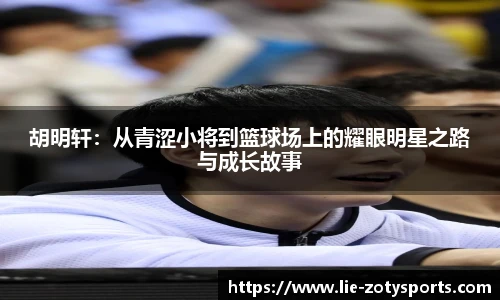 中欧体育zoty