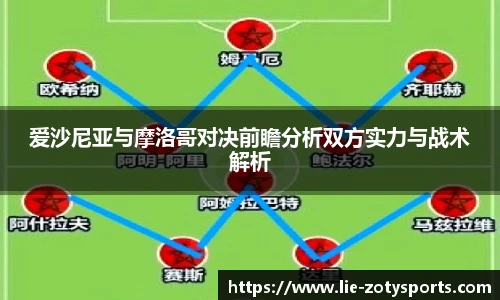 中欧体育